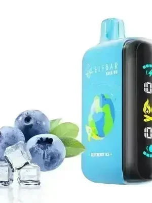 Elfbar RAYA D3 - Blueberry Ice